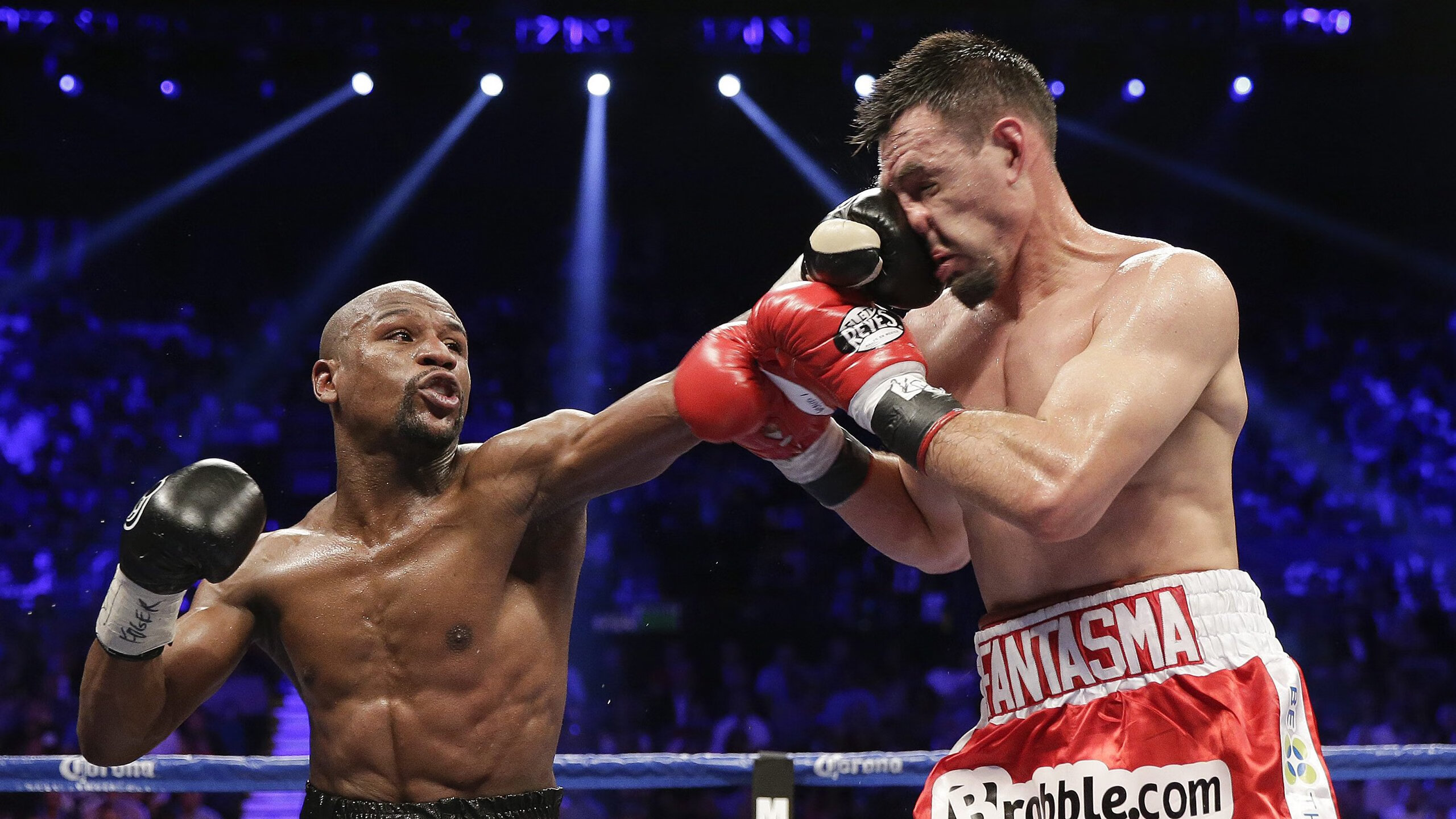 当法国队遇上中国队，张本智和点燃的赛场启示录